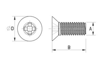 Schraube glasklar [170-2]