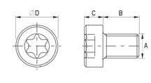 Zylinderkopf mit Torx Peek [187]